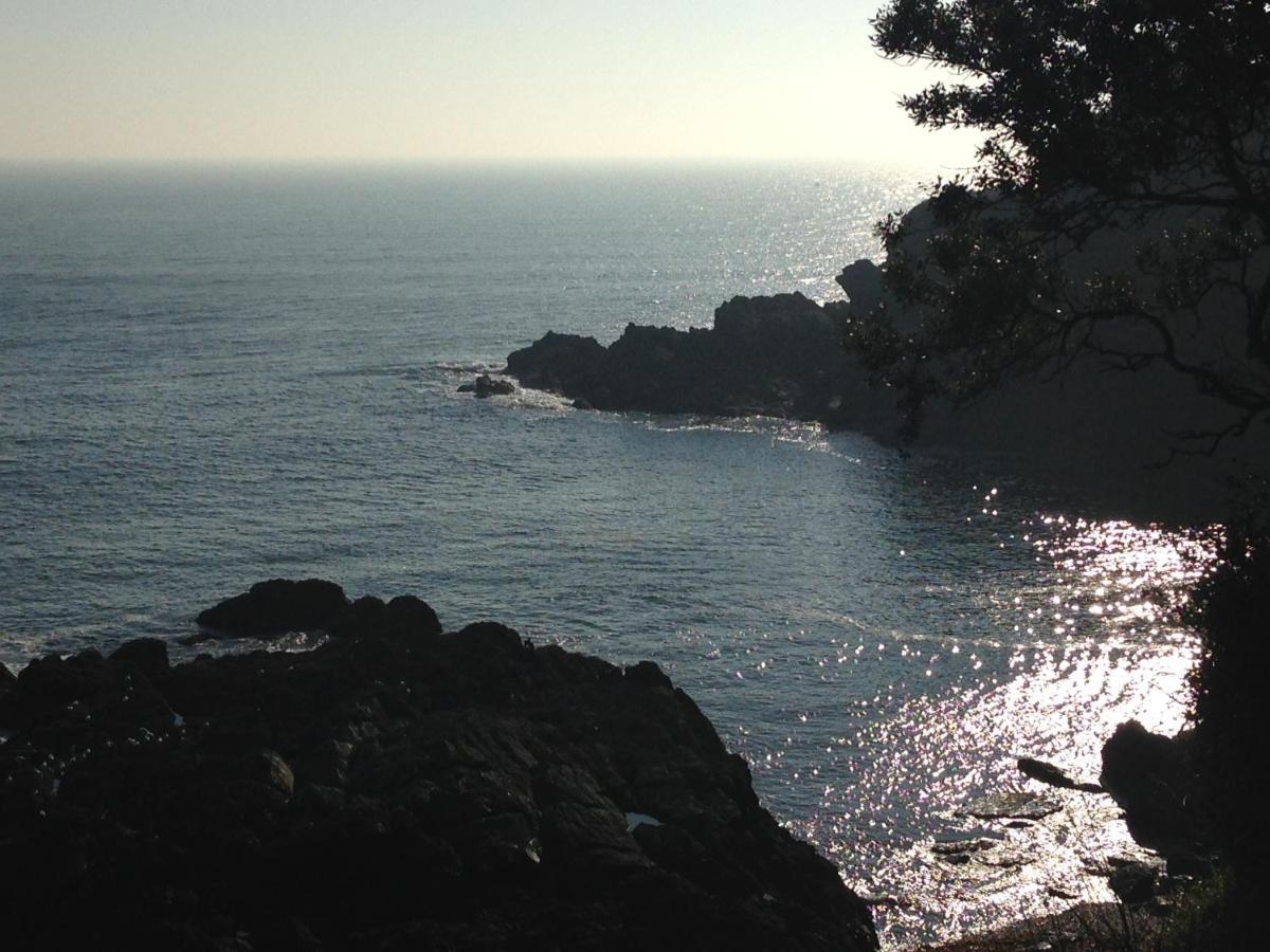 Villa Bay View, Millendreth Looe Cornwall Exterior foto
